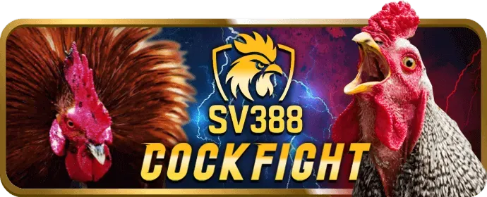 Giao diện thân thiện i9bet Casino