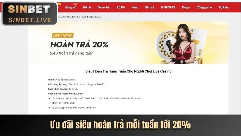 Cam kết công bằng và minh bạch của i9bet casino
